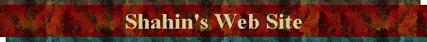 Shahin's Web Site