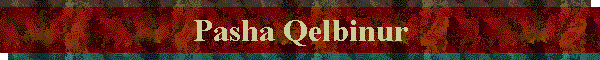 Pasha Qelbinur